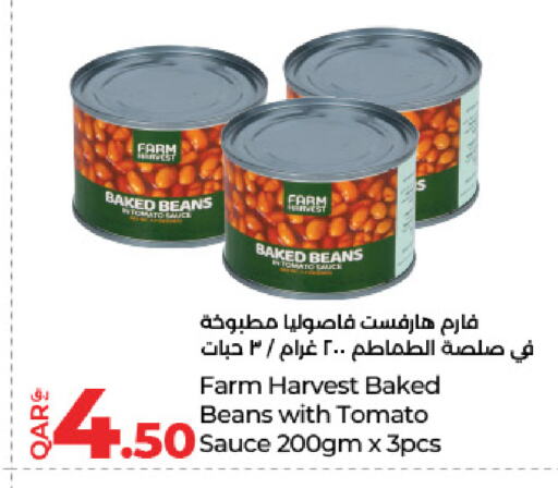 Canned & Packeted in LuLu Hypermarket, Qatar Offers - Qatar Baked Beans available at LuLu Hypermarket in Qatar - Al Shamal