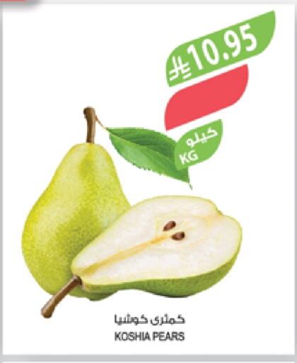 Pear available at Farm  in KSA, Saudi Arabia, Saudi - Abha