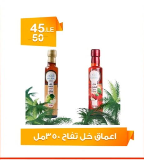 Sauces & Spreads in Hyper Meeza Egypt , Egypt Offers - Egypt Vinegar available at Hyper Meeza Egypt in Egypt - Cairo