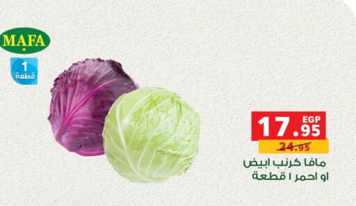 كرنب available at بنده in Egypt - القاهرة