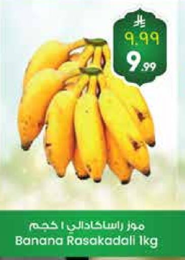 Fresh Fruits in City Flower, Saudi Arabia Offers - Saudi Arabia Banana available at City Flower in KSA, Saudi Arabia, Saudi - Jubail