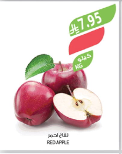 فاكهة طازجة in المزرعة, المملكة العربية السعودية Offers - المملكة العربية السعودية تفاح available at المزرعة in مملكة العربية السعودية, السعودية, سعودية - عرعر
