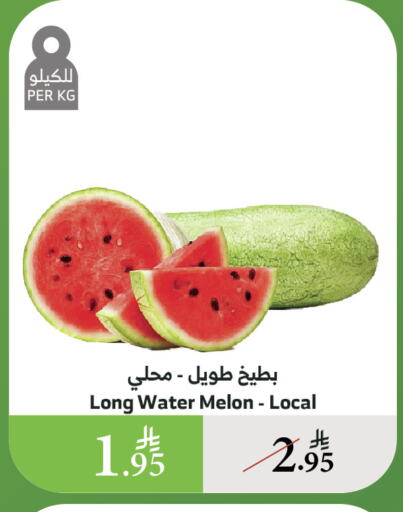 فاكهة طازجة in الراية, المملكة العربية السعودية Offers - المملكة العربية السعودية بطيخ available at الراية in مملكة العربية السعودية, السعودية, سعودية - الطائف