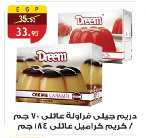 Canned & Packeted in Al Rayah Market , Egypt Offers - Egypt DREEM available at Al Rayah Market in Egypt - Cairo