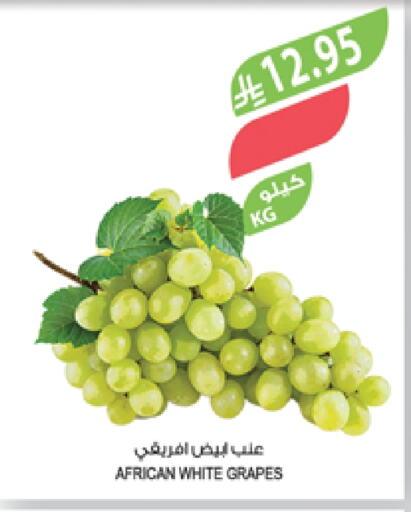 Grapes available at Farm  in KSA, Saudi Arabia, Saudi - Abha