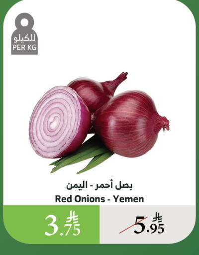 الخضروات الطازجة in الراية, المملكة العربية السعودية Offers - المملكة العربية السعودية بصل from Yemen available at الراية in مملكة العربية السعودية, السعودية, سعودية - القنفذة