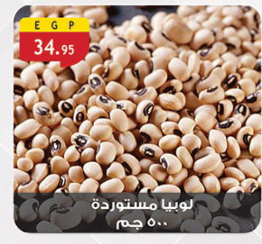 available at Al Rayah Market   in Egypt - Cairo