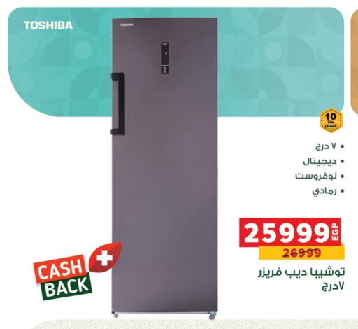 Large Appliances in Panda , Egypt Offers - Egypt TOSHIBA Freezer available at Panda in Egypt - Cairo