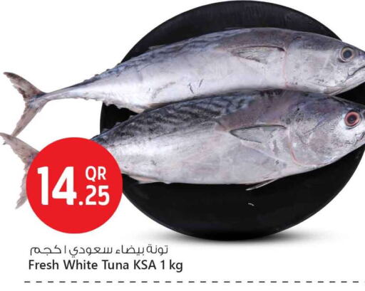Tuna available at Safari Hypermarket in Qatar - Al Shamal