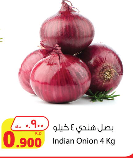 Onion from India available at Agricultural Food Products Co. in Kuwait - Ahmadi Governorate