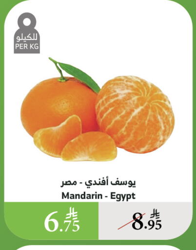 فاكهة طازجة in الراية, المملكة العربية السعودية Offers - المملكة العربية السعودية برتقال from Egypt available at الراية in مملكة العربية السعودية, السعودية, سعودية - الطائف