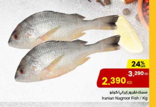 available at The Sultan Center in Kuwait - Ahmadi Governorate