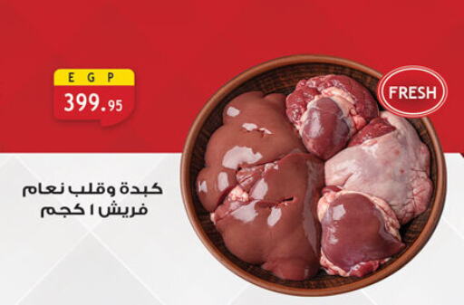 Meat - Fresh & Chilled in Al Rayah Market , Egypt Offers - Egypt available at Al Rayah Market in Egypt - Cairo