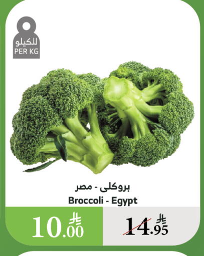 الخضروات الطازجة in الراية, المملكة العربية السعودية Offers - المملكة العربية السعودية بروكلي from Egypt available at الراية in مملكة العربية السعودية, السعودية, سعودية - القنفذة