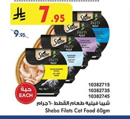 Pets in Bin Dawood, Saudi Arabia Offers - Saudi Arabia available at Bin Dawood in KSA, Saudi Arabia, Saudi - Ta'if