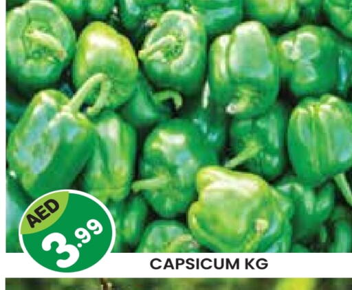 Chilli / Capsicum available at Baniyas Spike  in UAE - Al Ain