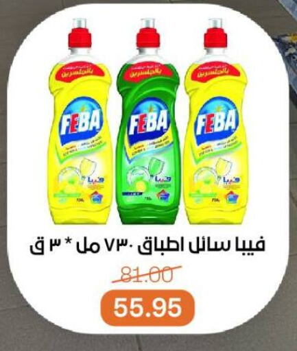 available at بيت الجملة in Egypt - القاهرة
