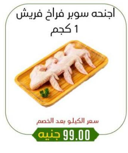 دجاج in خان الحسين, Egypt Offers - Egypt available at خان الحسين in Egypt - القاهرة