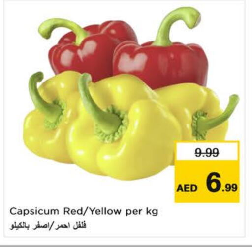 Chilli / Capsicum available at Nesto Hypermarket in UAE - Al Ain