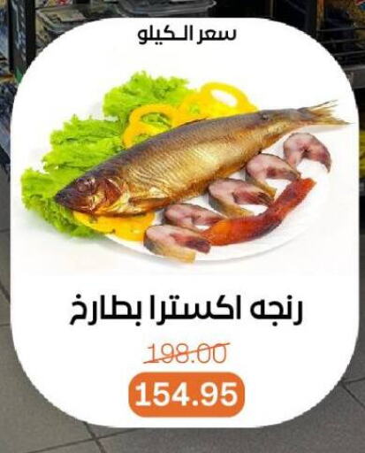 available at بيت الجملة in Egypt - القاهرة