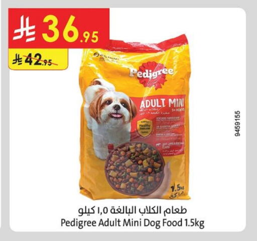 Pets in Danube, Saudi Arabia Offers - Saudi Arabia available at Danube in KSA, Saudi Arabia, Saudi - Al Hasa