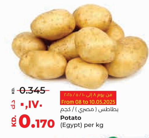 Potato from Egypt available at Lulu Hypermarket  in Kuwait - Kuwait City