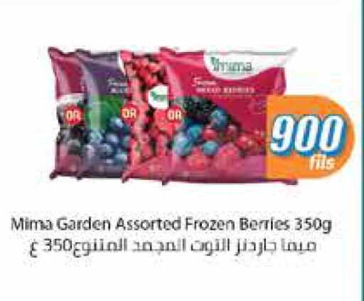 Frozen Fruits & Veg in City Hypermarket, Kuwait Offers - Kuwait available at City Hypermarket in Kuwait - Jahra Governorate