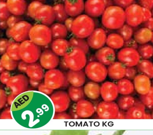 Tomato available at Baniyas Spike  in UAE - Al Ain