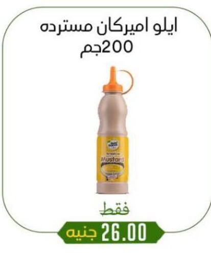 الصلصات والسبريد in خان الحسين, Egypt Offers - Egypt available at خان الحسين in Egypt - القاهرة