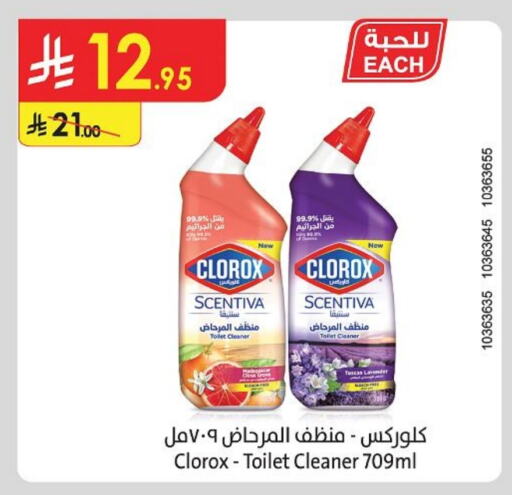 Cleaning in Danube, Saudi Arabia Offers - Saudi Arabia CLOROX Toilet / Drain Cleaner available at Danube in KSA, Saudi Arabia, Saudi - Unayzah
