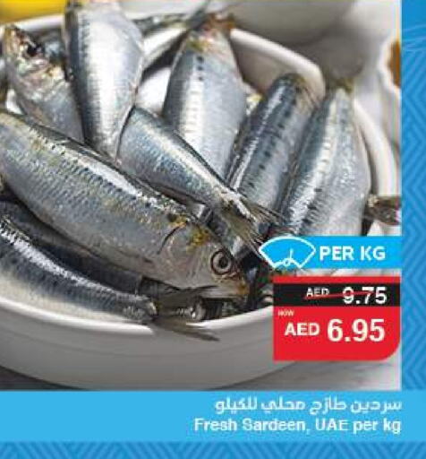 الأسماك الطازجة in سبار هايبرماركت, UAE Offers - الإمارات العربية المتحدة available at سبار هايبرماركت in الإمارات العربية المتحدة , الامارات - الشارقة / عجمان