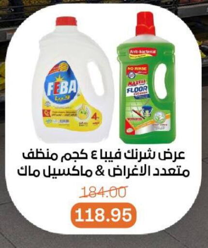 تنظيف in بيت الجملة, Egypt Offers - Egypt منظف عام available at بيت الجملة in Egypt - القاهرة