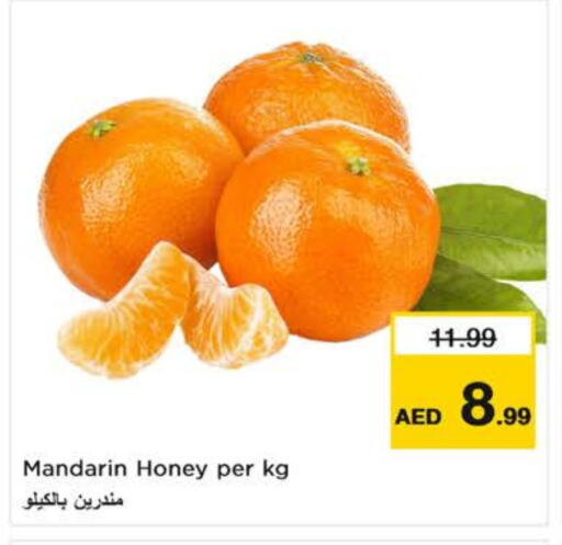 برتقال available at نستو هايبرماركت in الإمارات العربية المتحدة , الامارات - ٱلْفُجَيْرَة‎