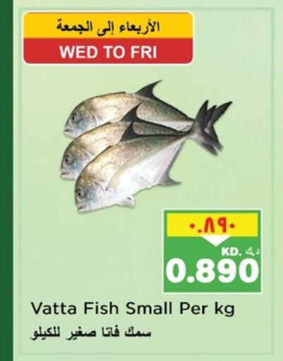 available at Nesto Hypermarkets in Kuwait - Ahmadi Governorate