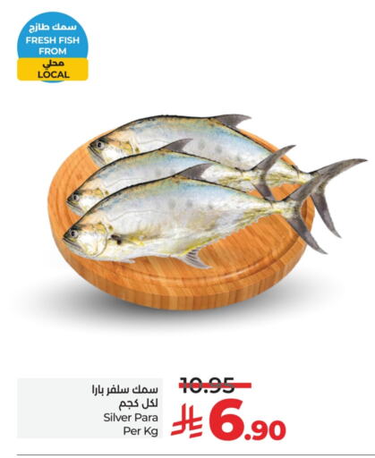 الأسماك الطازجة in لولو هايبرماركت, المملكة العربية السعودية Offers - المملكة العربية السعودية available at لولو هايبرماركت in مملكة العربية السعودية, السعودية, سعودية - حفر الباطن
