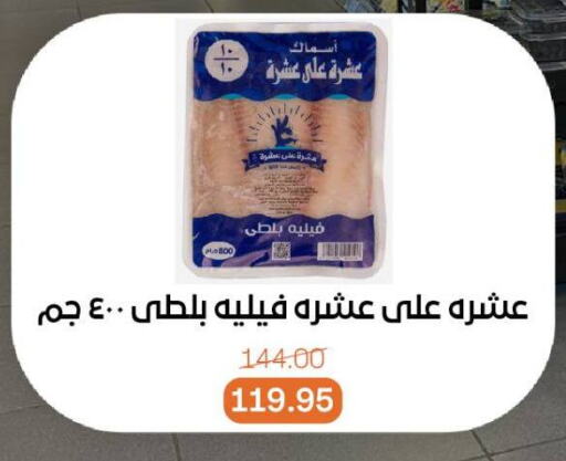 سمك مجمد in بيت الجملة, Egypt Offers - Egypt available at بيت الجملة in Egypt - القاهرة