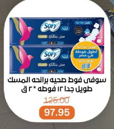 Feminine Hygiene in Beit El Gomla, Egypt Offers - Egypt SOFY available at Beit El Gomla in Egypt - Cairo