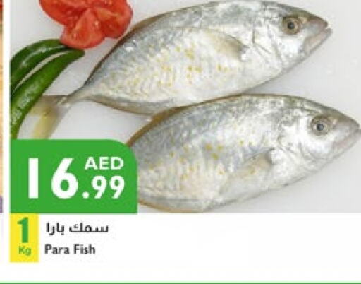 available at Istanbul Supermarket in UAE - Abu Dhabi