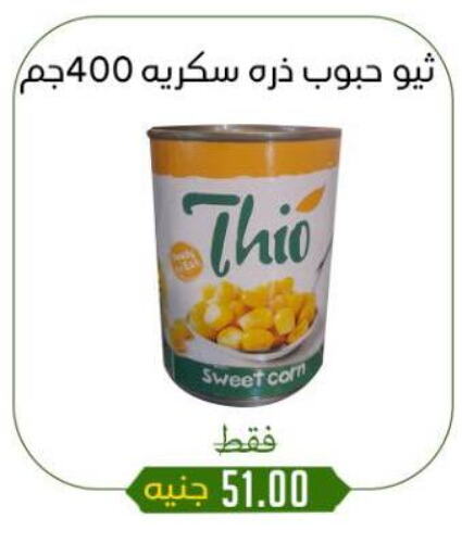 أغذية معلبة ومغلفة in خان الحسين, Egypt Offers - Egypt available at خان الحسين in Egypt - القاهرة