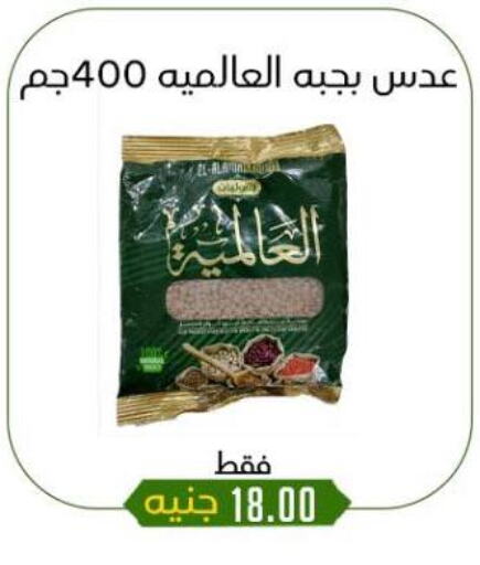 البقول، الفول والحبوب in خان الحسين, Egypt Offers - Egypt available at خان الحسين in Egypt - القاهرة
