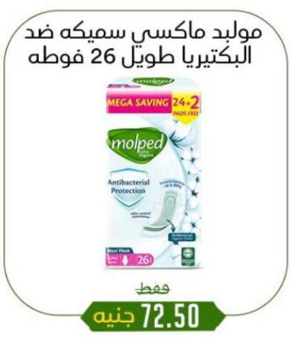 available at خان الحسين in Egypt - القاهرة