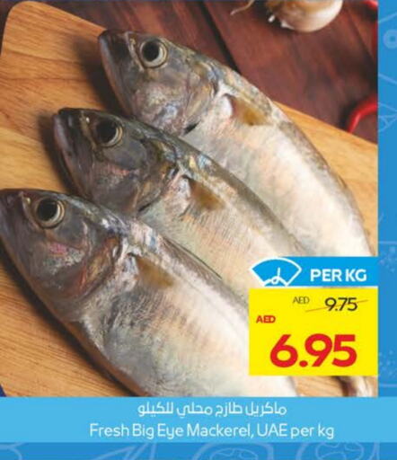 الأسماك الطازجة in ميغا مارت سوبر ماركت, UAE Offers - الإمارات العربية المتحدة available at ميغا مارت سوبر ماركت in الإمارات العربية المتحدة , الامارات - الشارقة / عجمان