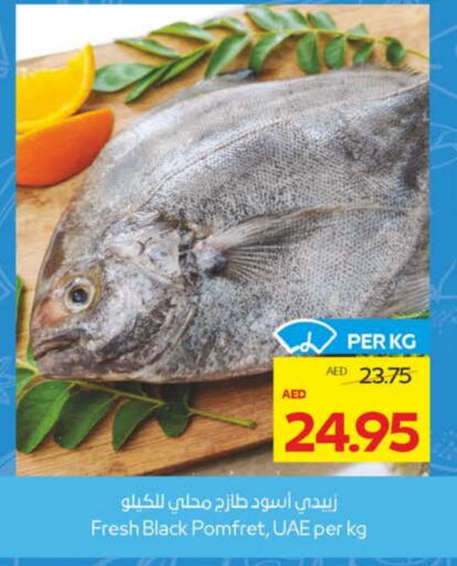 الأسماك الطازجة in ميغا مارت سوبر ماركت, UAE Offers - الإمارات العربية المتحدة available at ميغا مارت سوبر ماركت in الإمارات العربية المتحدة , الامارات - الشارقة / عجمان