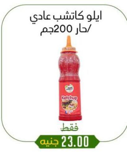 الصلصات والسبريد in خان الحسين, Egypt Offers - Egypt available at خان الحسين in Egypt - القاهرة