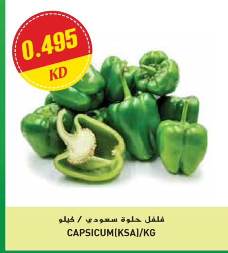 Fresh Vegetables in Grand Hyper, Kuwait Offers - Kuwait Chilli / Capsicum available at Grand Hyper in Kuwait - Ahmadi Governorate