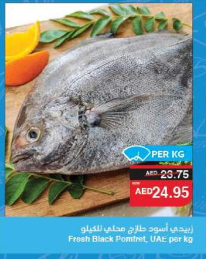 الأسماك الطازجة in سبار هايبرماركت, UAE Offers - الإمارات العربية المتحدة available at سبار هايبرماركت in الإمارات العربية المتحدة , الامارات - الشارقة / عجمان