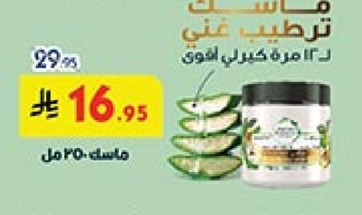 available at بن داود in مملكة العربية السعودية, السعودية, سعودية - المدينة المنورة