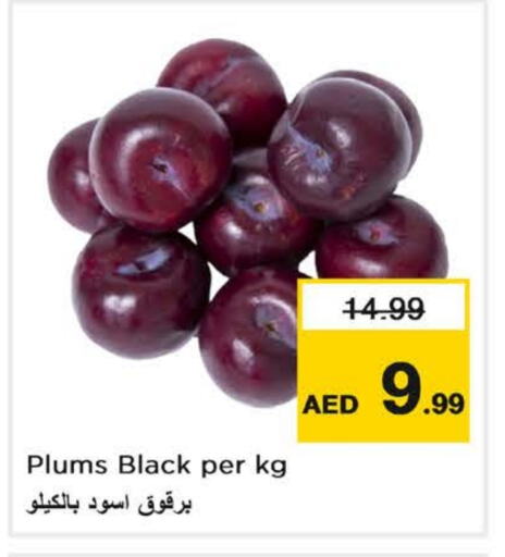 برقوق available at لاست تشانس in الإمارات العربية المتحدة , الامارات - ٱلْفُجَيْرَة‎