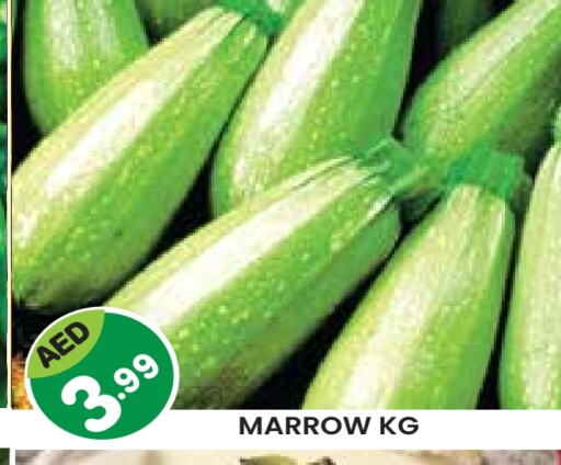Marrow available at Baniyas Spike  in UAE - Al Ain