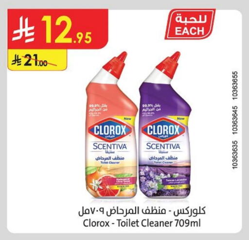 Cleaning in Danube, Saudi Arabia Offers - Saudi Arabia CLOROX Toilet / Drain Cleaner available at Danube in KSA, Saudi Arabia, Saudi - Tabuk
